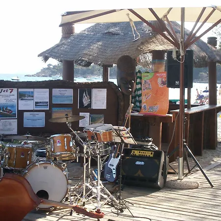 Cavaliere Surplage ル・ラヴァンドゥー